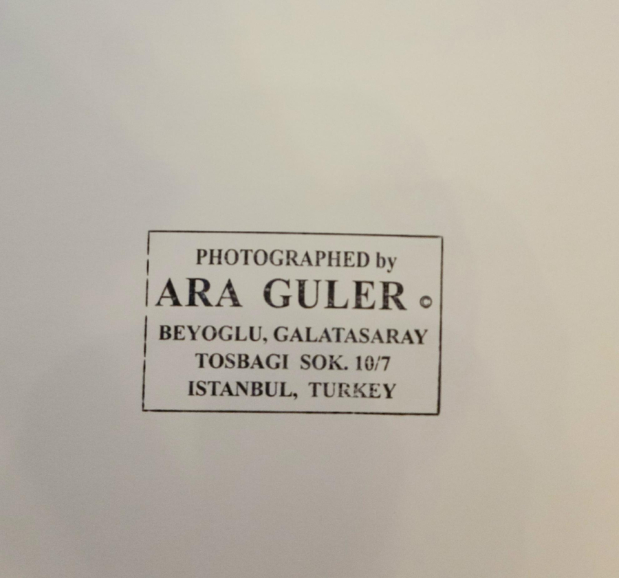 thumbAra Güler